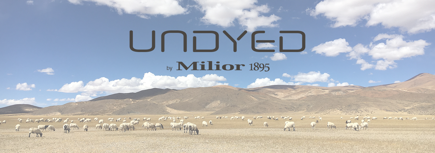 banner-undyer-flyer